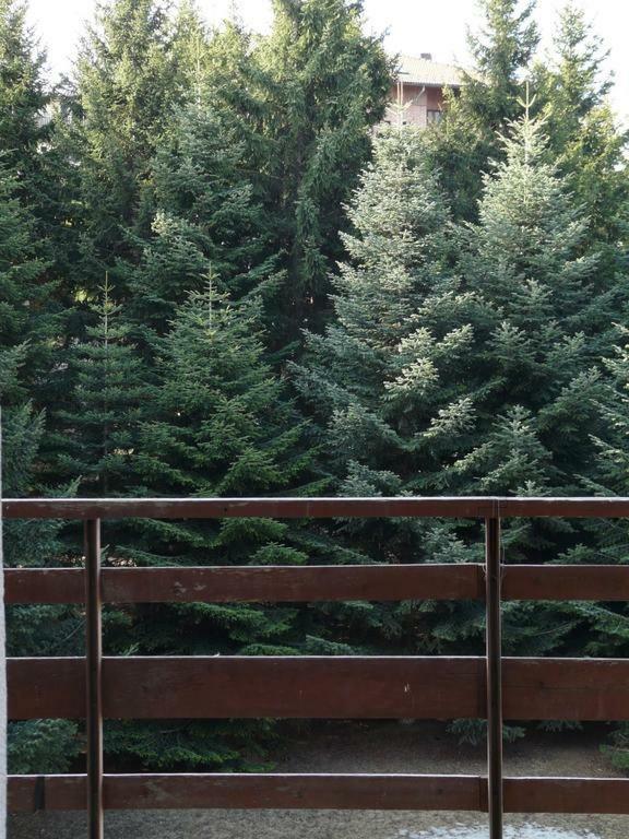 Il Balcone Delle Alpi Daire Oulx Dış mekan fotoğraf