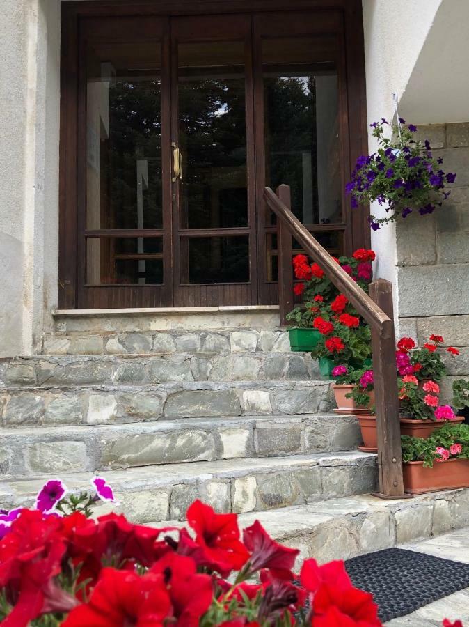 Il Balcone Delle Alpi Daire Oulx Dış mekan fotoğraf